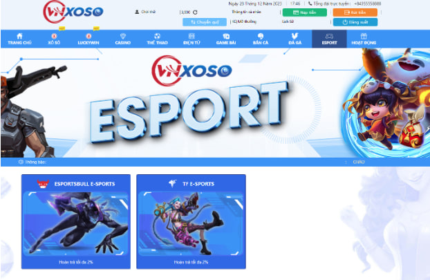 Tổng quan về Esport nhà cái VnXoso