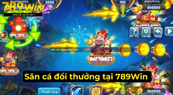 789Win - Thiên Đường Giải Trí Đỉnh Cao Và Uy Tín Hàng Đầu 4 Truy lùng những chú cá để đổi thưởng tại 789Win