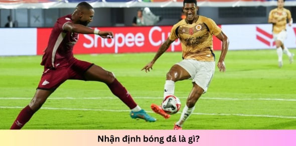 Nhận định bóng đá socolive - Thông tin gợi ý soi kèo chuẩn 3 Có nhiều tin tức nhận định đa dạng để bạn tham khảo